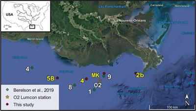 Early Diagenesis in the Hypoxic and Acidified Zone of the Northern Gulf of Mexico: Is Organic Matter Recycling in Sediments Disconnected From the Water Column?